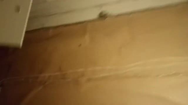 Куриный суп с вермишелью смотреть онлайн