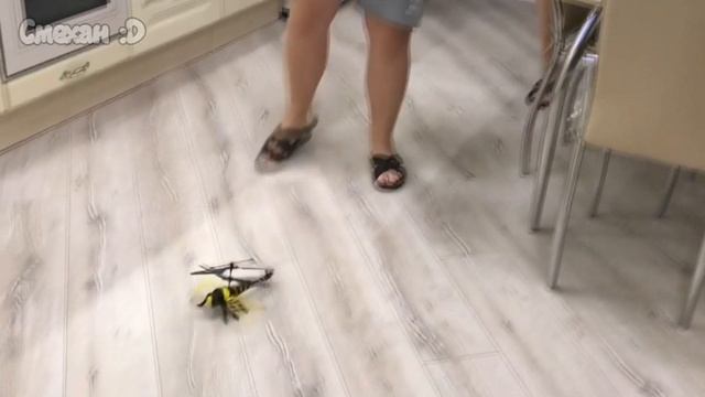 СМЕШНЫЕ МОМЕНТЫ С МАМОЙ ОТЛИЧНИКА #21