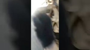 Подводим задние колодки МАЗ