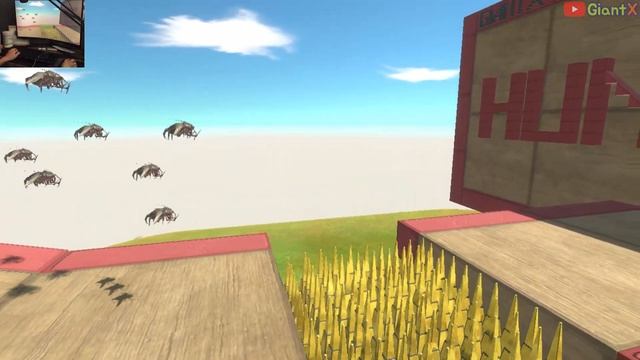 WHO CAN ESCAPE FROM GOLDEN SPIKE TRAP TO HUNT PIG? - Animal Revolt Battle Simulator - GiantX смотреть онлайн