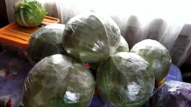 Наш способ хранения капусты! смотреть онлайн