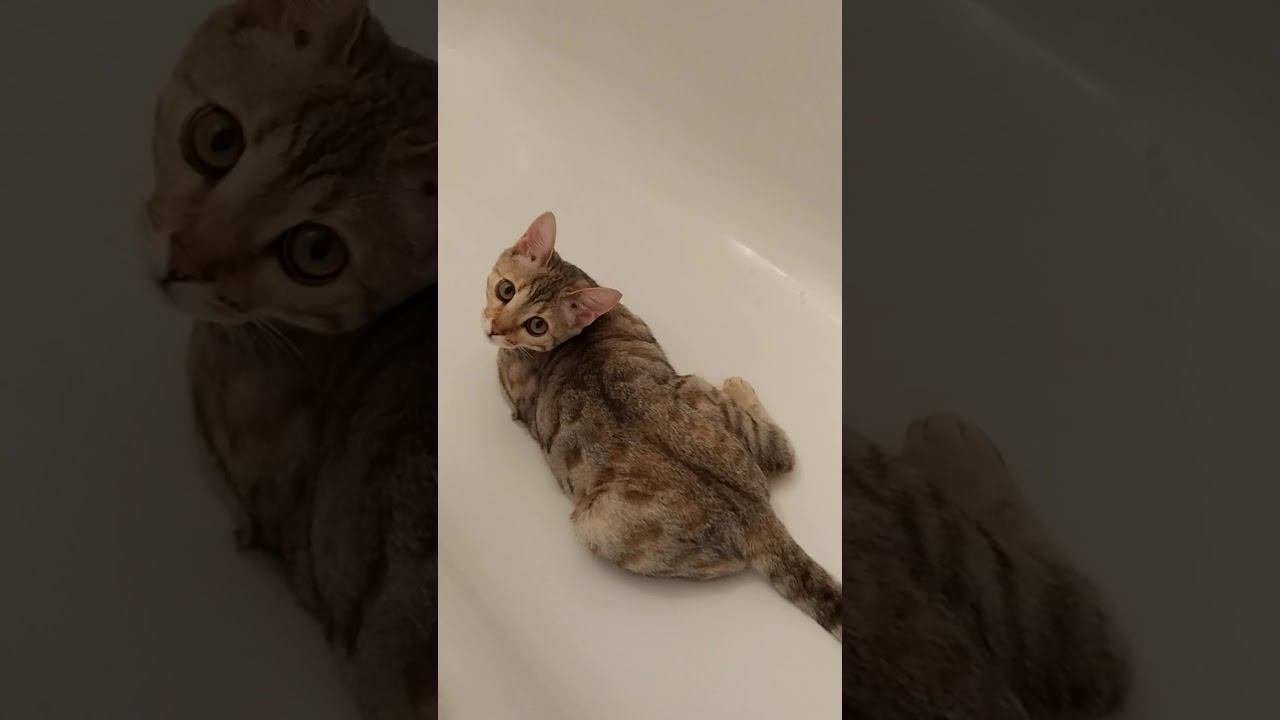 22 января 2020 г. смотреть онлайн