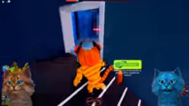 Котик игроман и Котёнок лайк Jailbreak