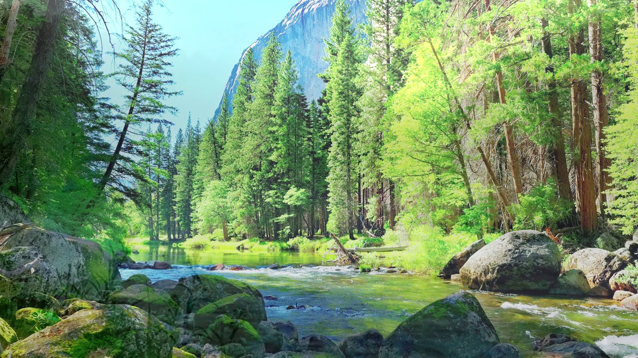 Релакс. Звуки Природы Для Медитации И Улучшения Самочувствия ✦ Relax смотреть онлайн