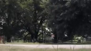 الفيلم الأجنبي الخيانة الزوجية الممنوع من العرض مترجم بجودة عالية 3D و 4K