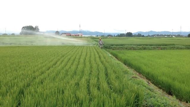 Forever Living Product is Real or Fake?| Forever Living Exposed | Marketing Expert in Pakistan смотреть онлайн