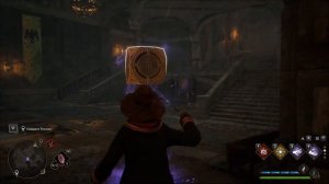 27 Спасение Рококо Hogwarts Legacy Дополнительные задания