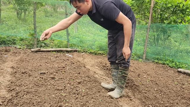 Jhony receives meaningful gifts from far away and makes flower pots with recycled materials смотреть онлайн