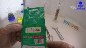 Огурец Малыш. Евро-Семена