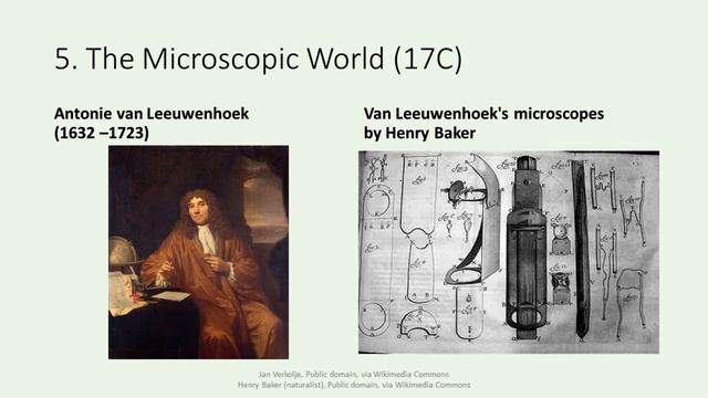 History of Biology смотреть онлайн