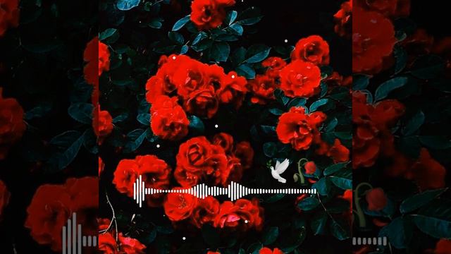 Цыганская песня 2023 🥀🕊 смотреть онлайн