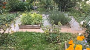 Наши 6 соток? Летний обзор дачного участка???