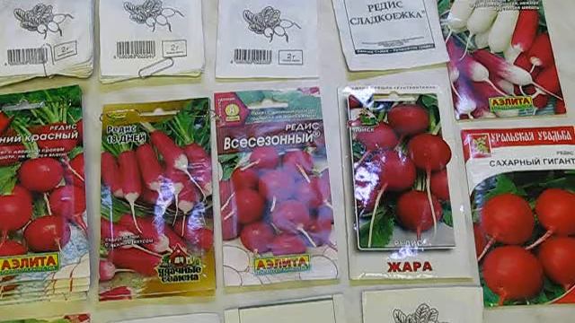 Мама для дачи - 4, февраль. Разбираем семена редиса смотреть онлайн