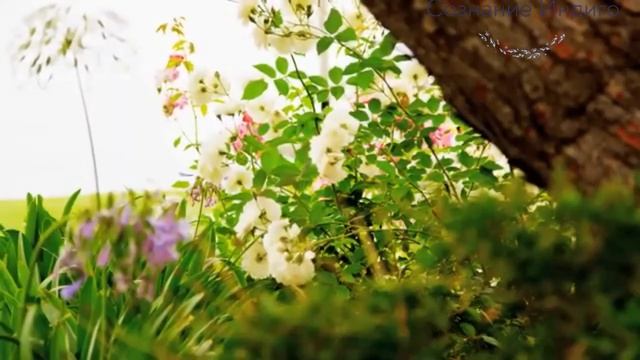 Как прийти к безмолвию Ума смотреть онлайн