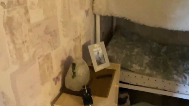 68 ВЛОГ?ПЕРВЫЙ СБОР ?КЛУБНИКИ?ОСВОБОЖДАЮ КУХНЮ смотреть онлайн