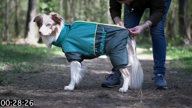 GAVS | Как надеть комбинезон за 60 секунд | образовательное видео смотреть онлайн