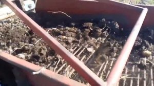 Ктн 2 копалка мтз