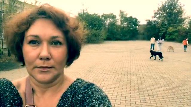 Собачий приют: как можно помочь. Едем в приют выгуливать собак. Детские развлечения. смотреть онлайн