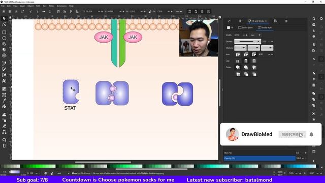 How to Draw STAT in Inkscape | JAK STAT pathway Part 2 | Graphical Abstract смотреть онлайн