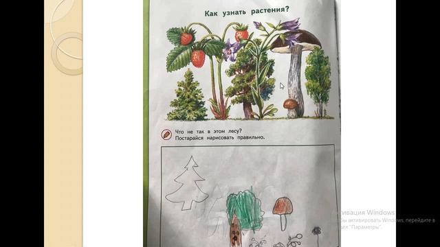 Дошколята Зелёная тропинка смотреть онлайн