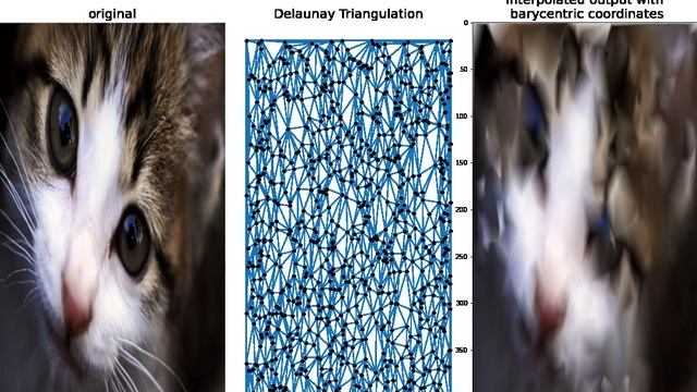 Image Interpolation | Delaunay Triangulation | Barycentric Coordinates | Reconstruction | python смотреть онлайн