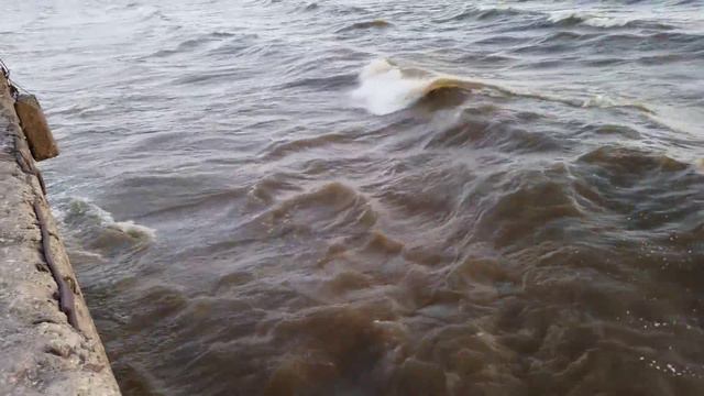 Белое озеро [с. Липин Бор 14/08/2015] смотреть онлайн