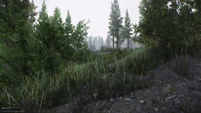 Live смотреть онлайн