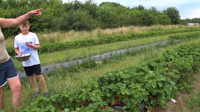 не хотели открывать визу в германию поздним переселенцам, клубника как у бабушки в деревне #германи смотреть онлайн