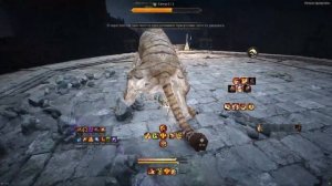 Сангун разбор механик и проход босса. Страж в наследии! (Black Desert)