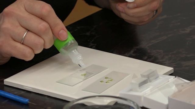 Episode 5: Making cross-sections by hand (stems) смотреть онлайн