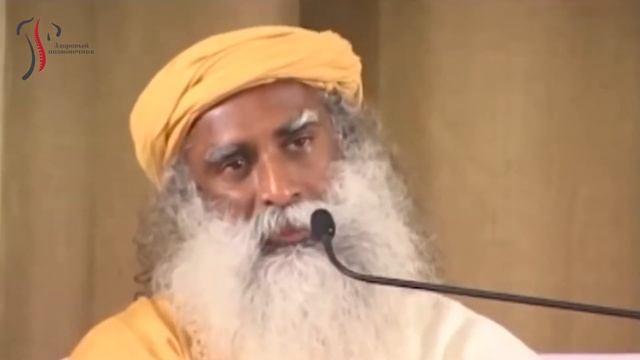 Индийский мудрец Садхгуру о зависимость жизненного успеха от здоровья вашего позвоночника. смотреть онлайн