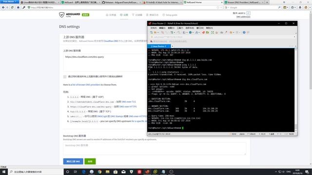 Linux路由补完计划3 利用AdGuard Home实现DNS及DHCP功能（小型翻车现场） смотреть онлайн