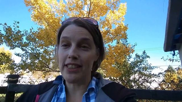 Home-Schooling During Surgery! смотреть онлайн