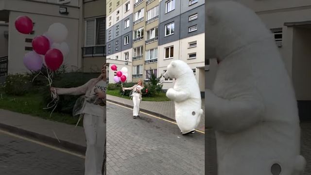 Поздравление от белого медведя из ТикТока для куклы Барби. смотреть онлайн