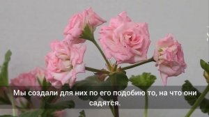 ЯСИН  СЛУШАЙТЕ КАЖДЫЙ ДЕНЬ.  16.01.2024  #ясин #сура #спереводом