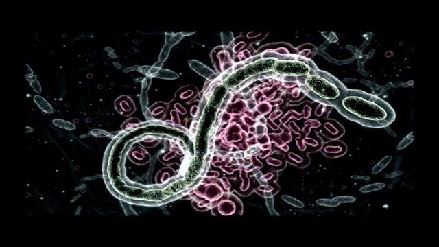 Resident Evil OST-RE Outbreak: Main title theme смотреть онлайн