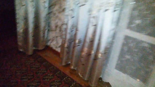 Как встречает собака.После долгой разлуки. Встреча бабушки. смотреть онлайн