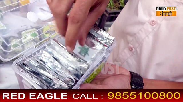 Agri Natural India - Stevia Products  & Stevia Farming (Contact  +91-9872818618 or +91-9815173198)