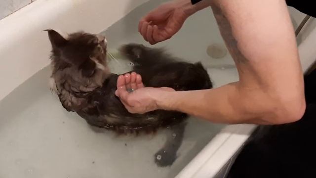 ПОЛЕЗНЫЕ СОВЕТЫ