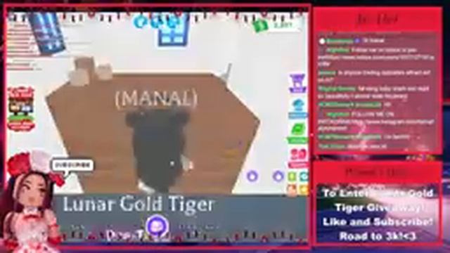 LIVE LUNAR GOLD TIGER GIVEAWAY! ADOPT ME! Its Manal ROBLOX смотреть онлайн