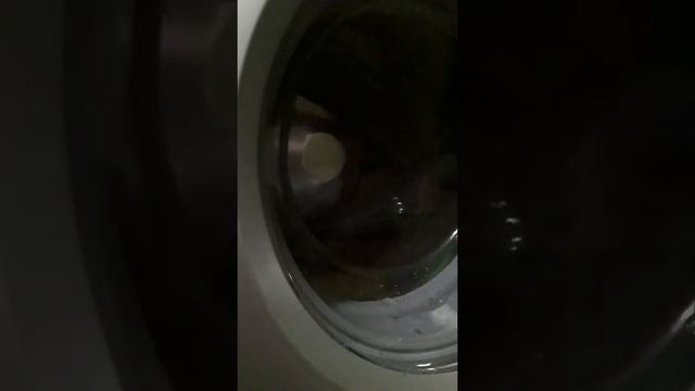 Разогнался до скорости света! смотреть онлайн