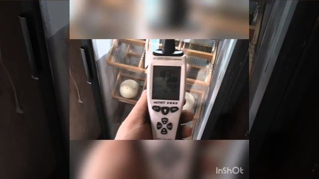 Разведение страусов плюсы смотреть онлайн