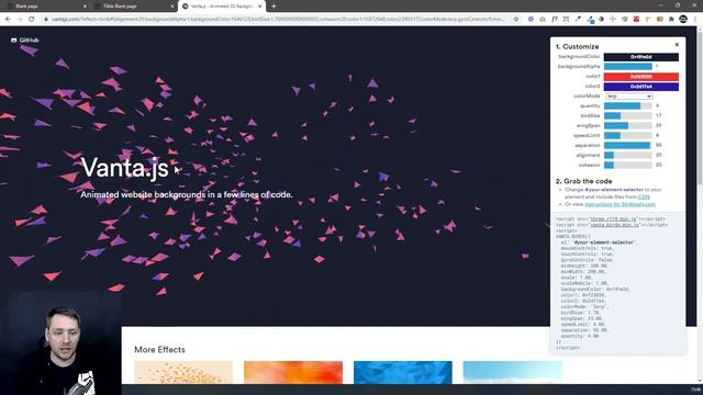 Эффект "Летающие птицы" для Tilda в Zero Block смотреть онлайн