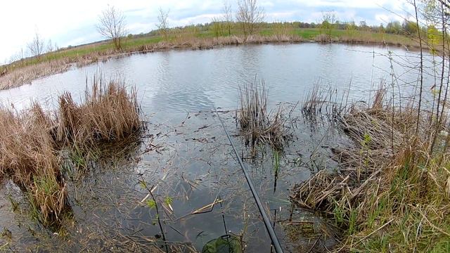 Ловля Густеры на Поплавок Весной смотреть онлайн
