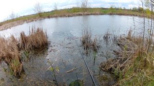 Ловля Густеры на Поплавок Весной