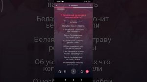 Караоке - Белая береза (Фристайл)