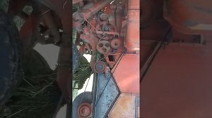 Измельчитель-разбрасыватель соломы на нива ск-5