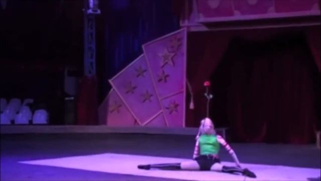 Разноцветные цветы