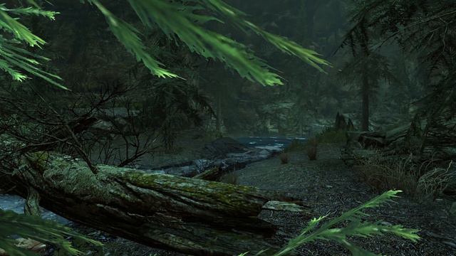 Forest Cavern: Stripped out and Recreated #3 смотреть онлайн