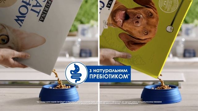 Dog Chow® та Cat Chow® - Допомагаємо захищати вашого улюбленця!